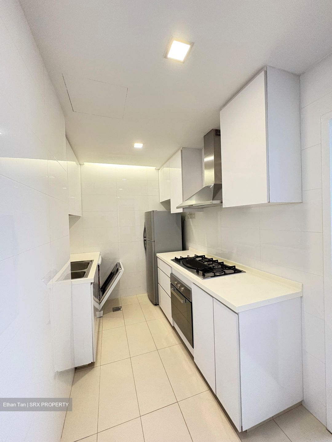 Nassim Regency (D10), Condominium #581608701